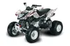 Arctic Cat DVX300 ATV Graphic Kit - All Years Bone Collector White