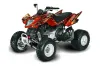 Arctic Cat DVX300 ATV Graphic Kit - All Years Firestorm Red