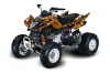 Arctic Cat DVX300 ATV Graphic Kit - All Years Mad Hatter Orange