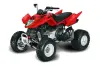 Arctic Cat DVX300 ATV Graphic Kit - All Years Silver Star - Reloaded Black