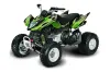 Arctic Cat DVX400 ATV Graphic Kit - All Years Tribal Flames Green