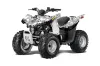 Arctic Cat DVX50 ATV Graphic Kit - 2008-2017 Reaper White