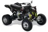 Can Am DS450 / DS450X EFI ATV Graphic Kit - 2008-2016 Bone Collector Black