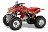 Honda TRX 250EX / 250X ATV Graphic Kit - 2002-2005 Firestorm Red