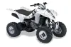 Kawasaki KFX 400 ATV Graphic Kit - 2003-2008 Silver Star - Reloaded White