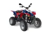 Polaris Trailblazer 350 ATV Graphic Kit - 1985-2009 Rebel