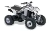 Suzuki LTZ 400 ATV Graphic Kit - 2003-2008 Silver Star - Silverhaze Black