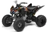 Yamaha Raptor 250 ATV Graphic Kit - 2008-2014 Ed Hardy - Love Kills Black