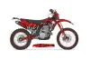 Gas Gas EC 300 Dirt Bike Graphic Kit - 2009-2010 Checkered Skull Red