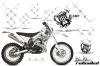 Gas Gas EC 300 Dirt Bike Graphic Kit - 2011-2012 Silver Star - Reloaded White