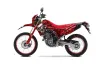 Honda CRF250 L Enduro Dirt Bike Graphic Kit - 2013-2020 Bone Collector Red
