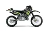Kawasaki KDX200 Dirt Bike Graphic Kit - 1995-2006 Tribal Flames Green