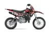 Kawasaki KLX110 Dirt Bike Graphic Kit - 2010-2025 Mad Hatter Red