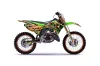 Kawasaki KX250 Dirt Bike Graphic Kit - 1999-2002 Firestorm Green