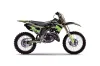 Kawasaki KX250 Dirt Bike Graphic Kit - 1999-2002 Tribal Flames Green