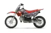 Suzuki RM 65 Dirt Bike Graphic Kit - All Years Checkered Skull Red