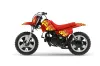 Yamaha PW50 Dirt Bike Graphic Kit - 1990-2022 Diamond Flames Red