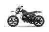 Yamaha PW50 Dirt Bike Graphic Kit - 1990-2022 Skulls and Hammers SIlver