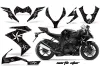 Kawasaki ZX10 Ninja Custom Graphic Kit - 2008-2009