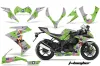 Kawasaki ZX10 Ninja Custom Graphic Kit - 2008-2009