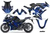Kawasaki ZX1000 Ninja Custom Graphic Kit - 2010-2013